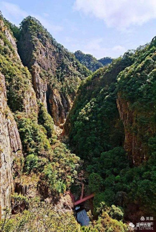 洞庭月历丨水鸟:“湖水清澈,倒映着我”